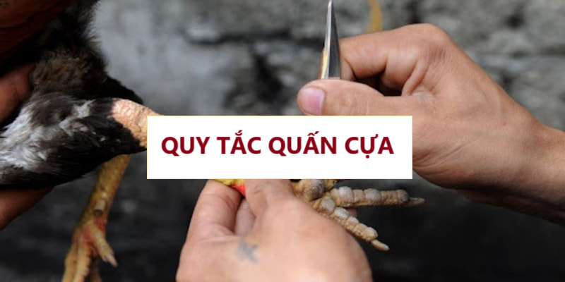 Quy tắc quấn cựa cơ bản