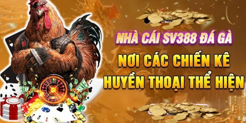 Sơ lược về nhà cái đá gà SV388