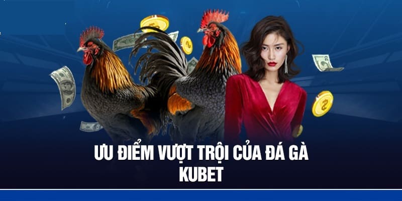 Kubet là nhà cái đá gà uy tín với nhiều ưu điểm 