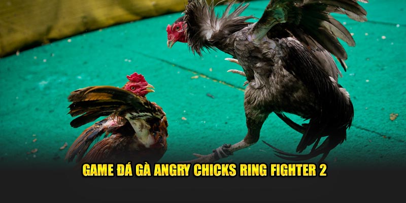 Game đá gà Angry Chicks Ring Fighter 2