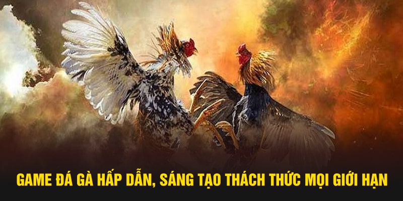 Game Đá Gà Hấp Dẫn, Sáng Tạo Thách Thức Mọi Giới Hạn