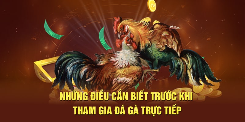 Những điều cần biết khi tham gia đá gà trực tiếp