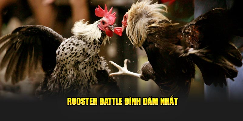 Rooster Battle đình đám nhất